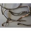 Collier de chasse