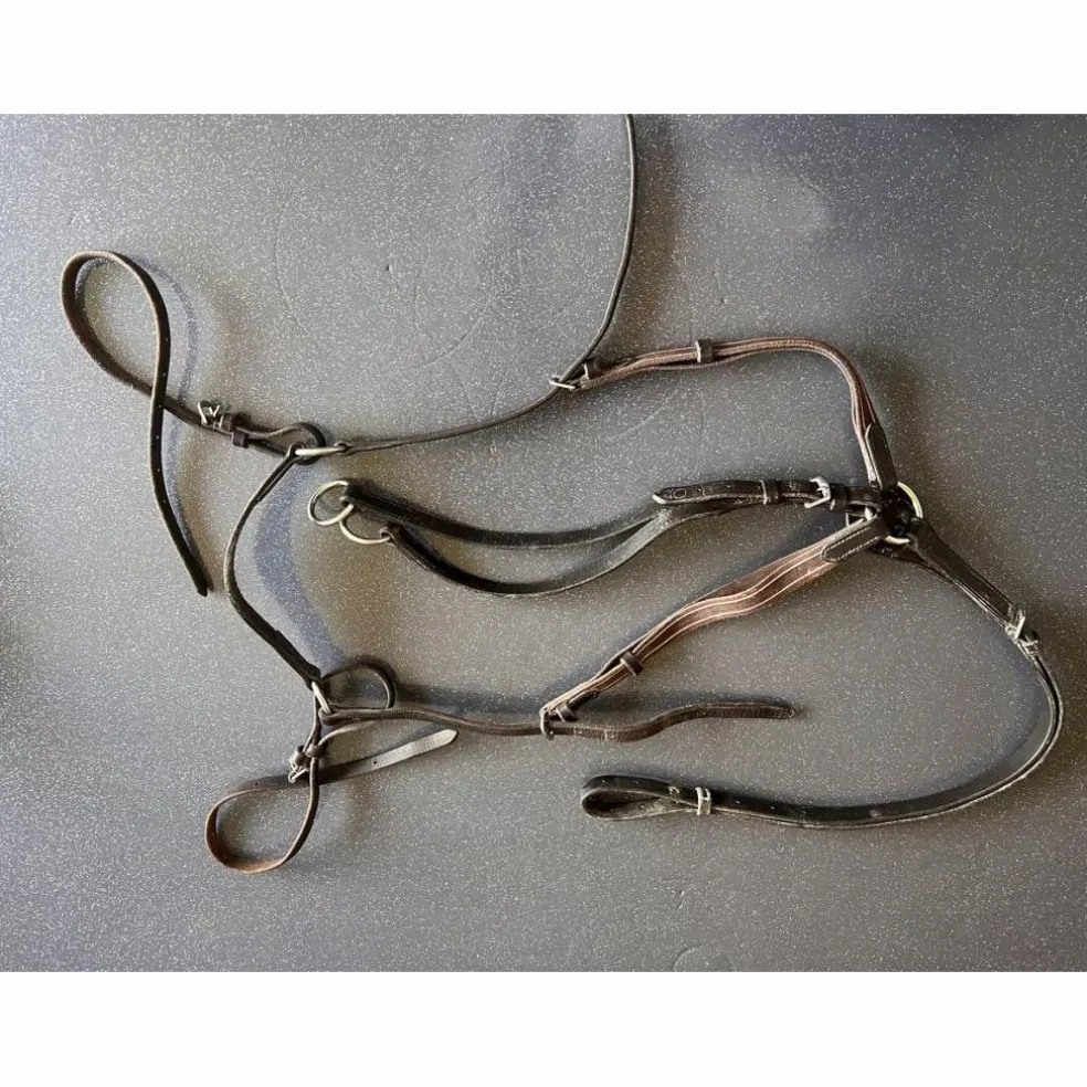 Collier de chasse