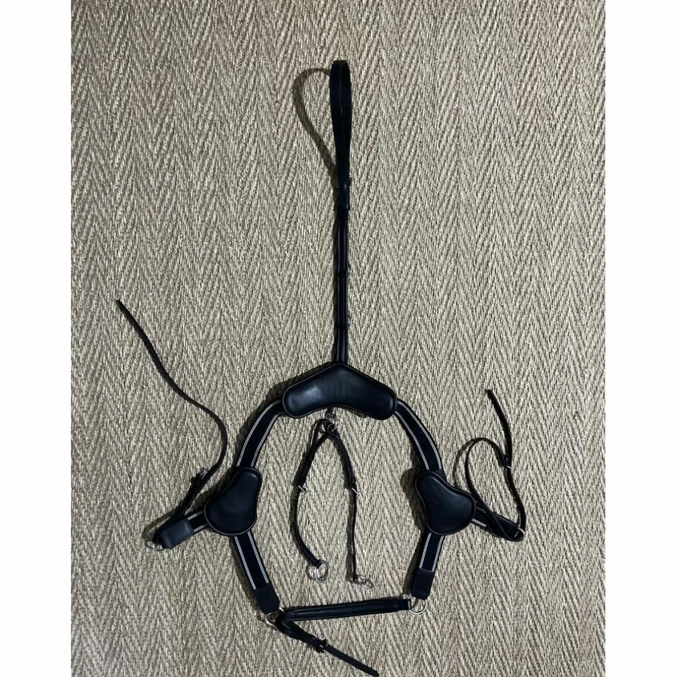 Collier de chasse