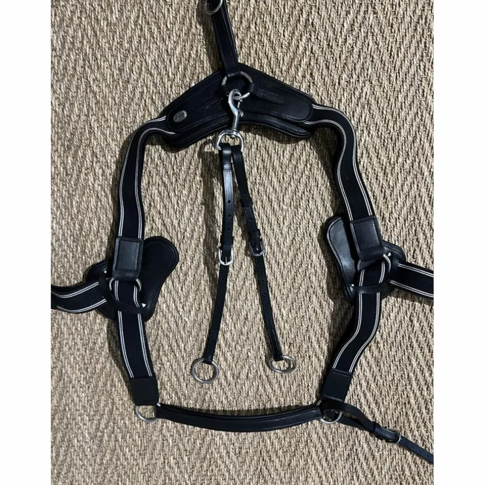 Collier de chasse