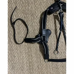 Collier de chasse
