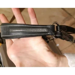 Collier de chasse