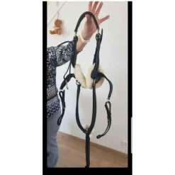 collier de chasse
