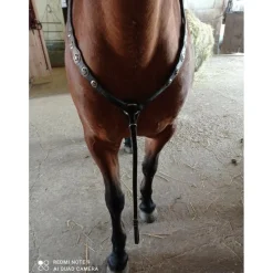 Collier de chasse