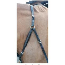 Collier de chasse