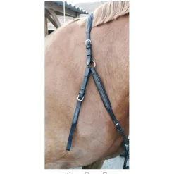 Collier de chasse