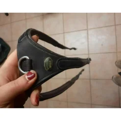 Collier de chasse