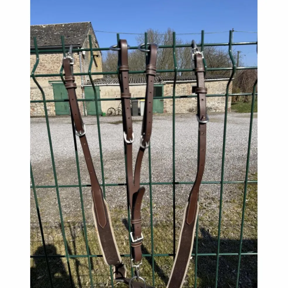Collier de chasse