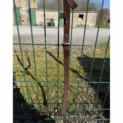 Collier de chasse