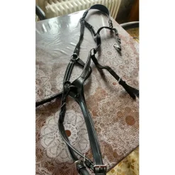 Collier de chasse