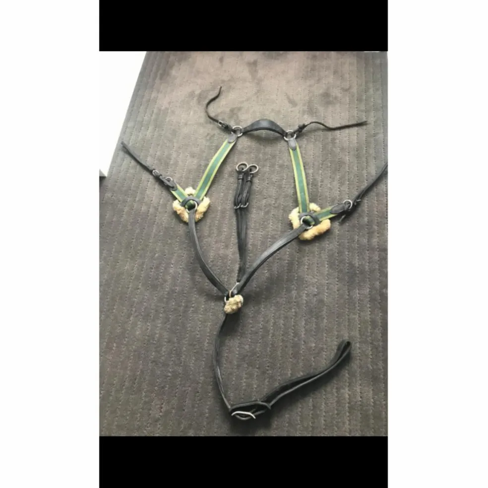 Collier de chasse