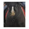 Collier de chasse