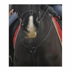 Collier de chasse