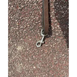 Collier de chasse