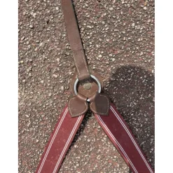 Collier de chasse