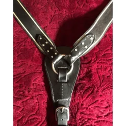 collier de chasse