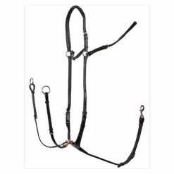 collier de chasse