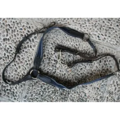 collier de chasse