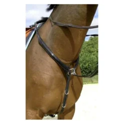 Collier de chasse