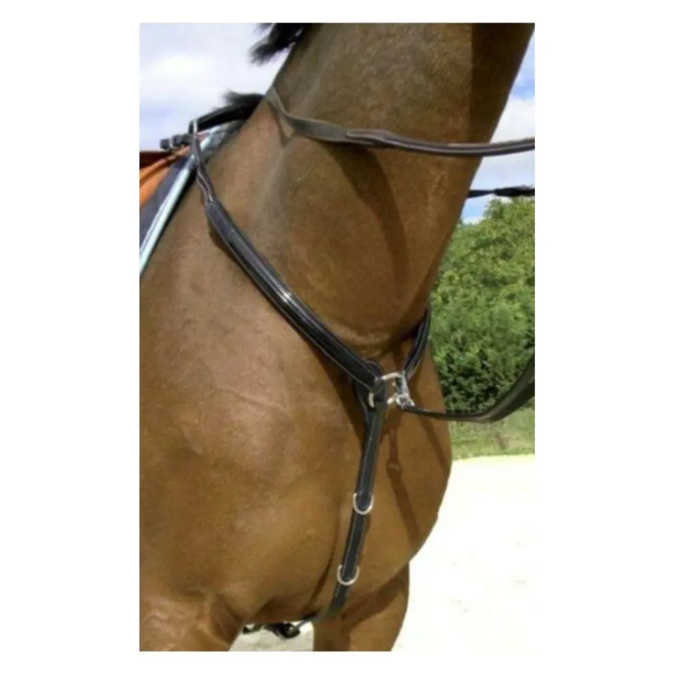 Collier de chasse