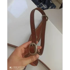 Collier de chasse