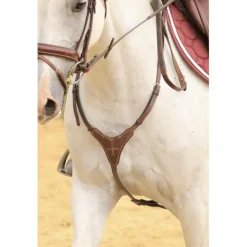 Collier de chasse