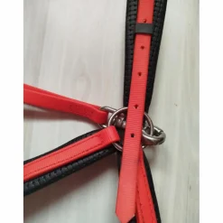 Collier de chasse