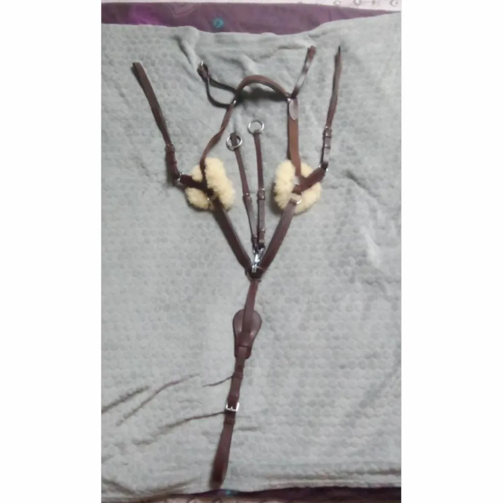 Collier de chasse