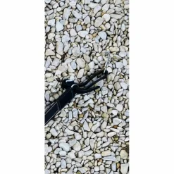 Collier de chasse