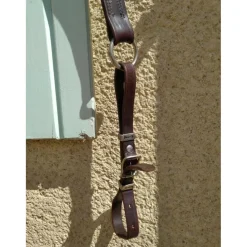 Collier de chasse