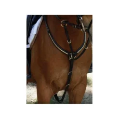 Collier de chasse
