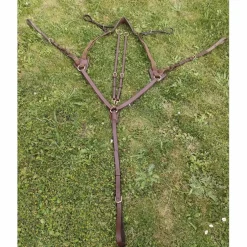 Collier de chasse