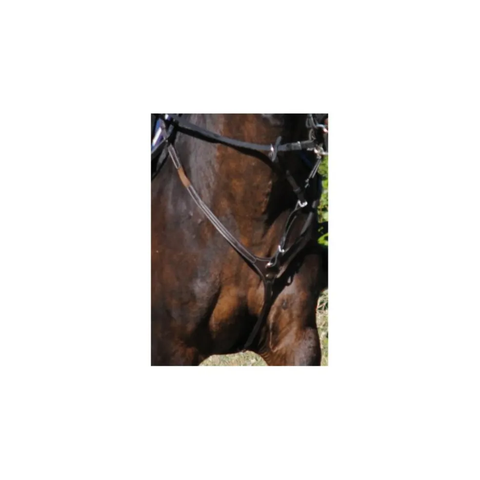 collier de chasse