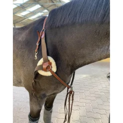 Collier de chasse