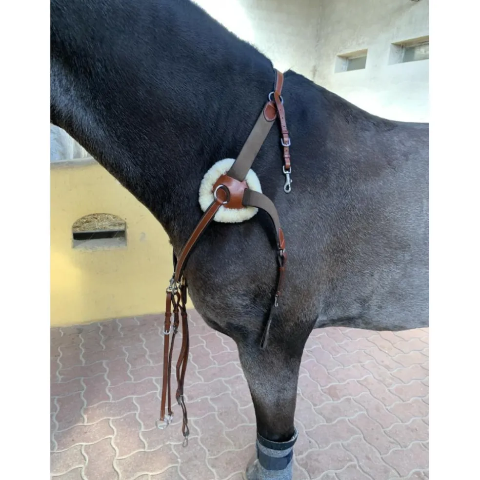 Collier de chasse