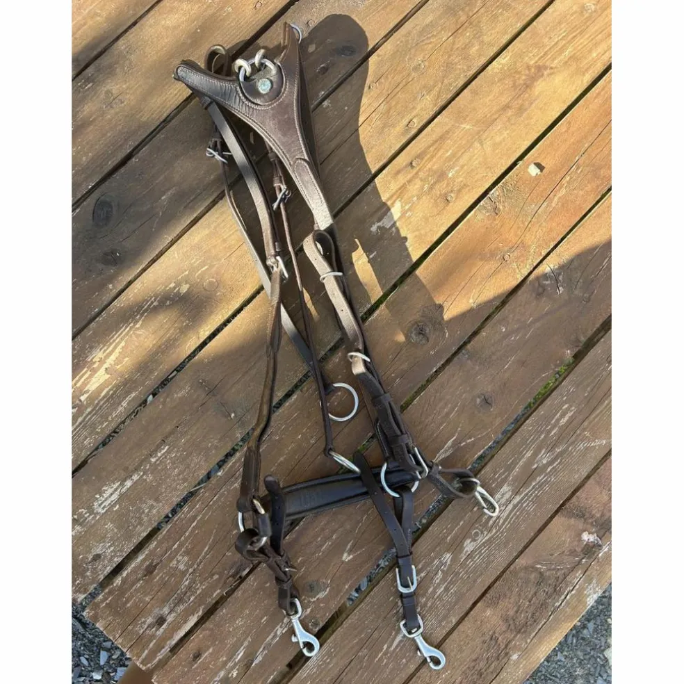 Collier de chasse