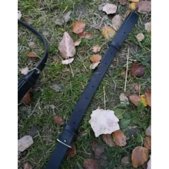 Collier de chasse