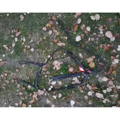 Collier de chasse