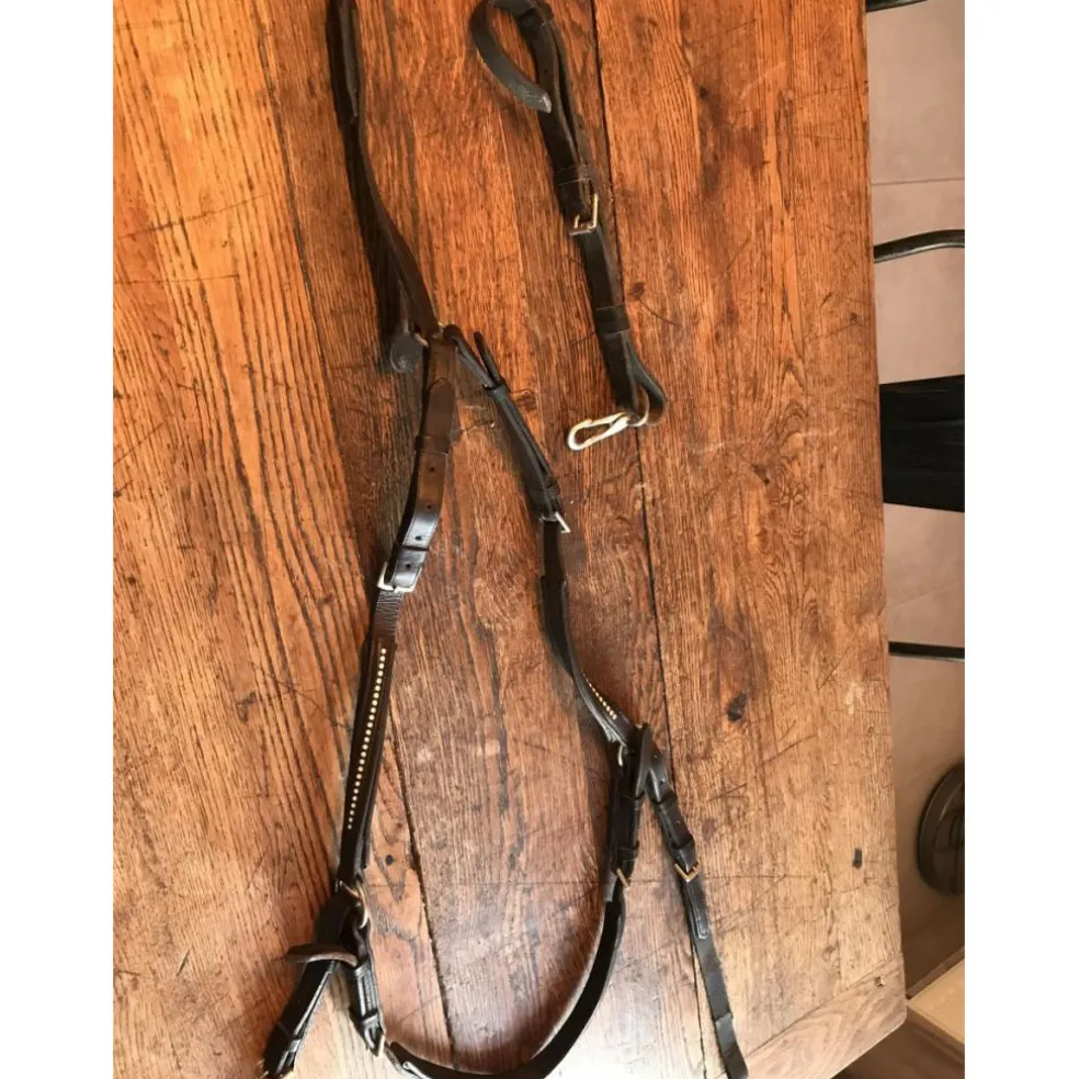 Collier de chasse