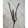 Collier de chasse