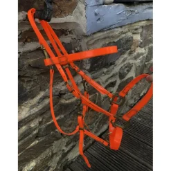 Collier de chasse + bridon BIOTHANE