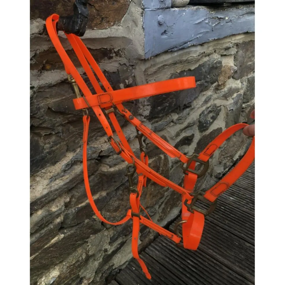 Collier de chasse + bridon BIOTHANE