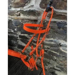 Collier de chasse + bridon BIOTHANE