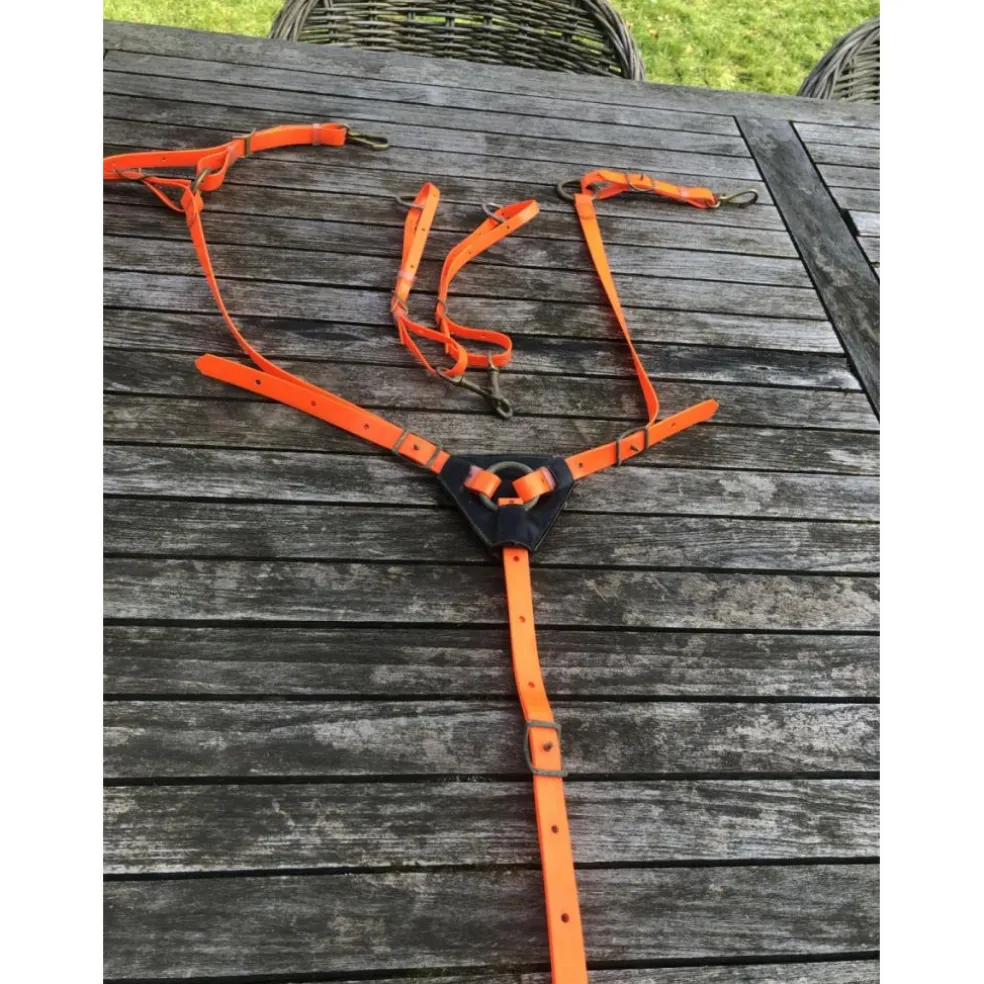 Collier de chasse + bridon BIOTHANE