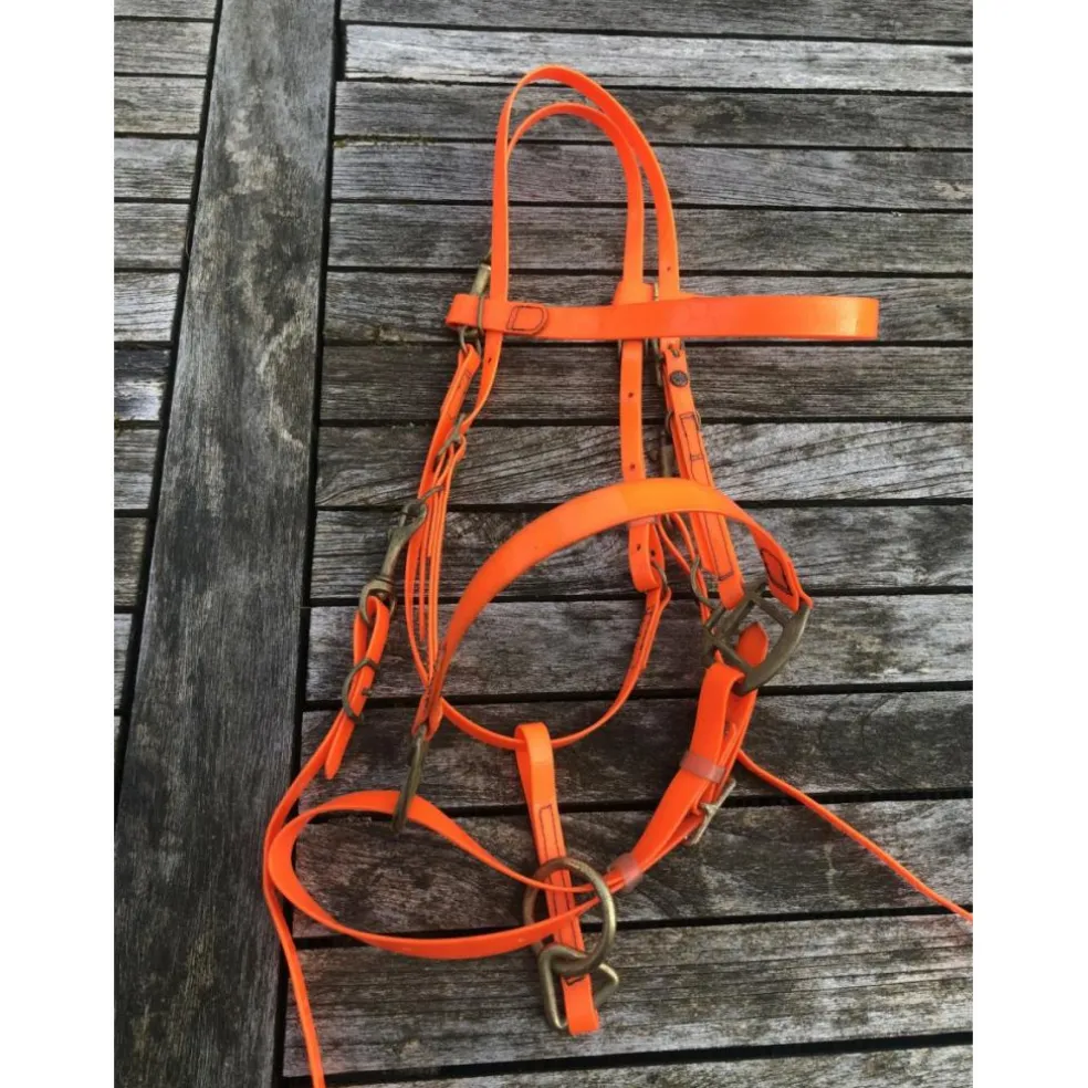 Collier de chasse + bridon BIOTHANE