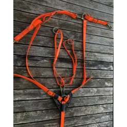 Collier de chasse + bridon BIOTHANE