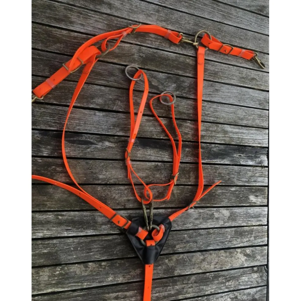 Collier de chasse + bridon BIOTHANE