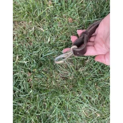 Collier de chasse à élastique bordeaux