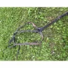 Collier de chasse + martingale