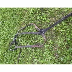 Collier de chasse + martingale